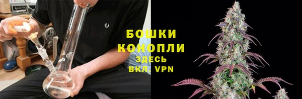 дурь Михайловск