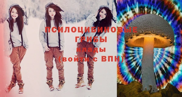 PSILOCYBIN Михайловка