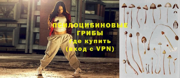 mdpv Михайлов
