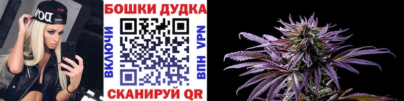 Марихуана план  Фёдоровский 